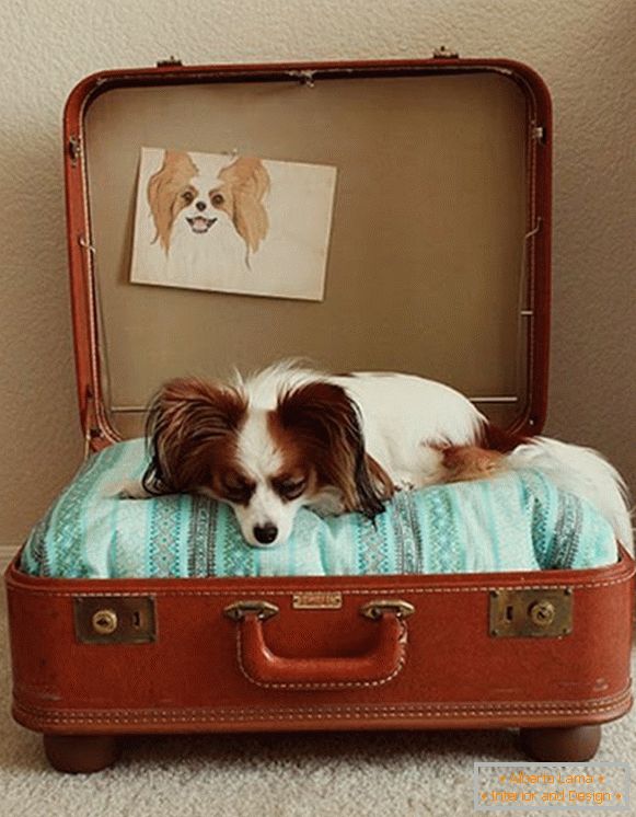 Место за куче од куфер