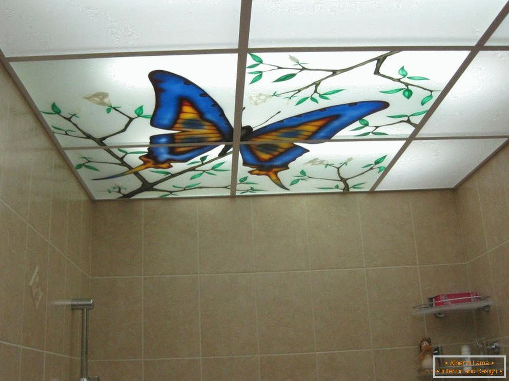 Лажни тавани во бањата