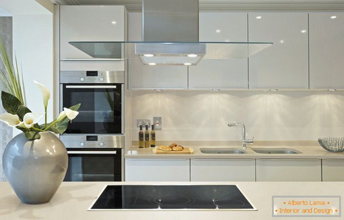 Сјајни површини може да се користат за декорирање на кујната во стилот на Арт Нову. Дизајнерскиот проект е интересна смела комбинација од сива и бела боја, што не е карактеристично за модерен стил.