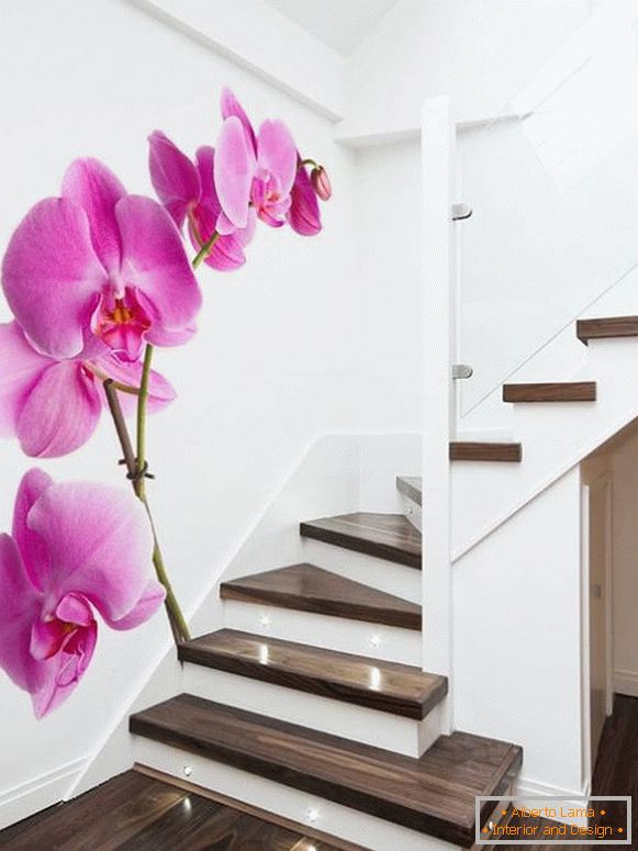 Слики на орхидеи на скалите