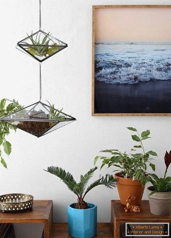 Вилушка декорација - стаклени садови со растенија