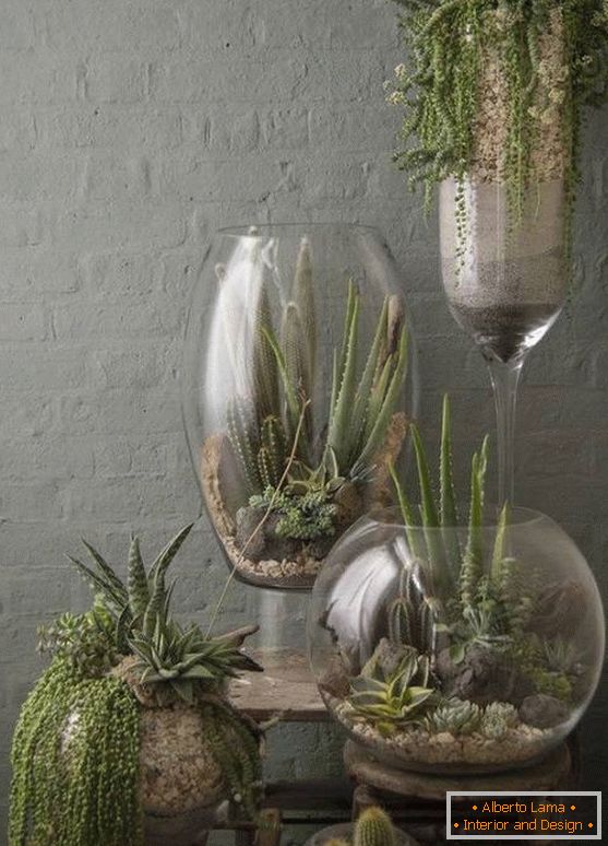 Растенија во големи стаклени вазни