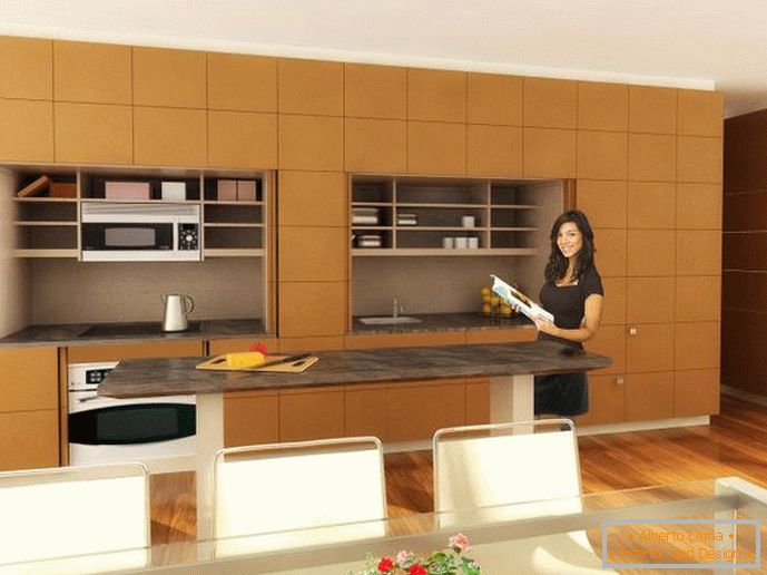 Дизајн внатрешни кујни Стелт кујна од страна на ресурс мебел