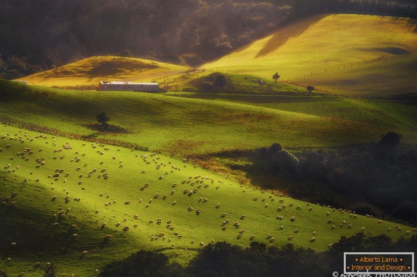 Пејзажи на Нов Зеланд Дилан Тох